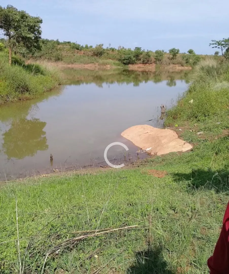 propriedade agrícola de 2.000 hectares no Huambo. 3