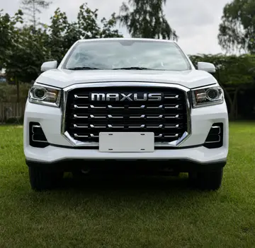 Maxus t60 2025